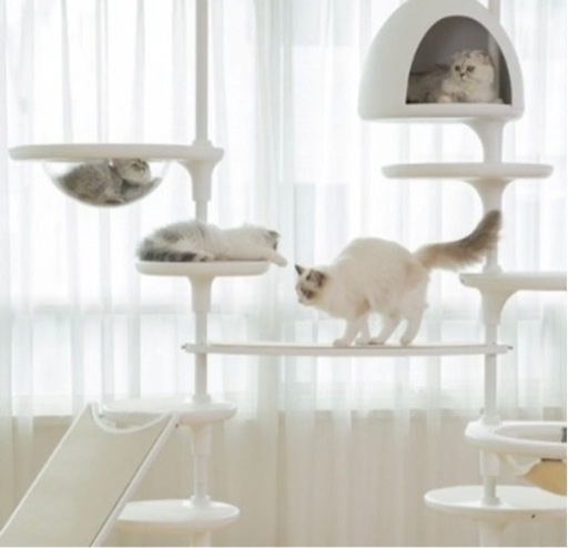 キャットタワー　　gatoperro