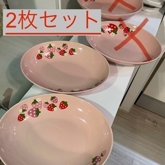 ディズニーランド　ホームストア　カレー&パスタ皿　2枚セット