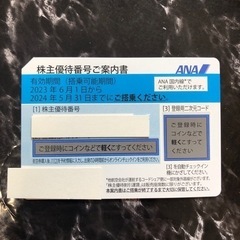 ANA株主優待券　2024年5月31日まで