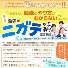 【😊勉強の苦手な子専門の家庭教師✨】ニガテ科目があっても❗️テスト平均点以下でも❗️あきらめないで❗️私たちは「子どもがやりたいと思う家庭教師」「学校の先生が選ぶ家庭教師」を目指しています。✨顧客満足度97％の確かな実績があります✨ スマホやゲームばかりで全く勉強しないお子さん、不登校の子さん、テストが平均点以下のお子さんも私たちにお任せください😊どんなお子さんでも本当の力を引き出す方法は必ずあります❗️【群馬県全域】 