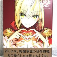 【中古美品】愛 -ワダアルコ Fate ART WORKS- T...