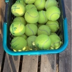 【無料】テニスボールたくさん
