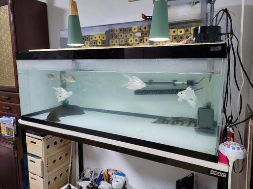 値下げしました！1200アクリル水槽フルセット