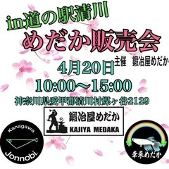 4月20日　道の駅清川メダカイベント　出品品種