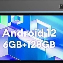 最新 タブレット Wpad3 10インチ 高画質 wifiモデル 子供用 大容量
