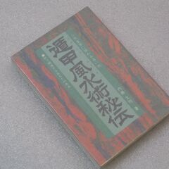 遁甲風水術秘伝 内藤文穏