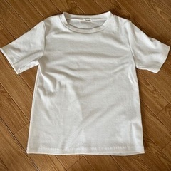 服/ファッション Tシャツ レディース