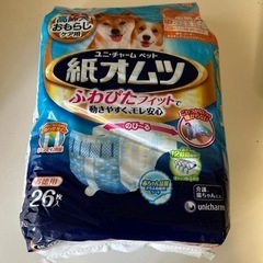 ペット用　オムツ　中型犬用