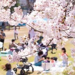 🌈【4/20】代々木公園でピクニック☀️