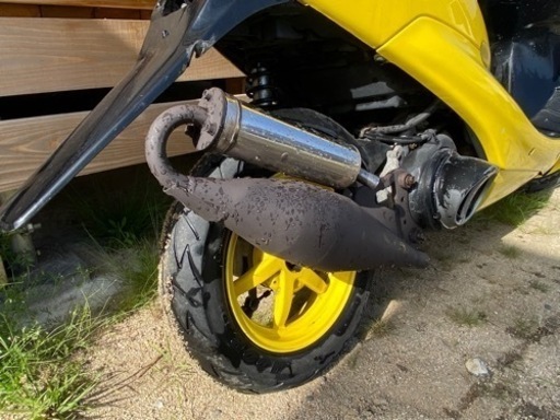 ZX カスタム ライブディオZXカスタム！dio