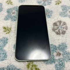 iPhone12mini