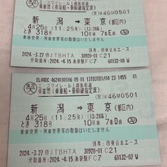 【乗車日4/25限定】新幹線チケット 新潟→東京 大人2枚 後続...