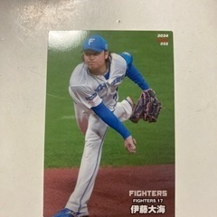 ❣️伊藤大海選手 ❣️プロ野球チップス2024