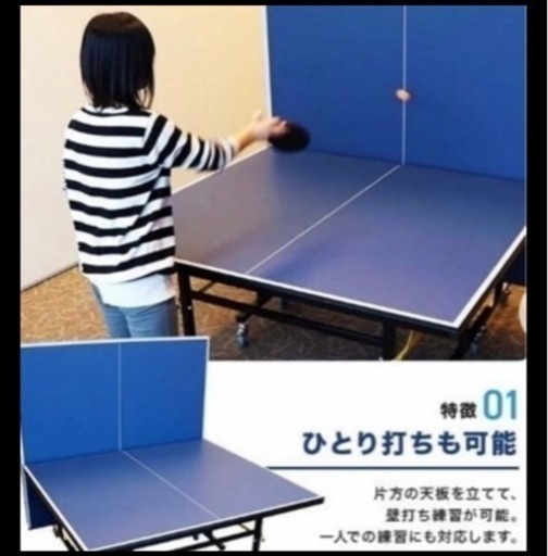 卓球台 家庭用サイズ　卓球マシン ヴィクタス(VICTAS) スピンメイトV　ボール付き