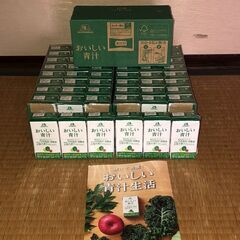 森永　おいしい青汁　125ml×66本 　野菜不足も食物繊維不足...