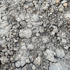 庭　残土　DIY　ガーデニング　土　砂　粘土質の土がメインとなります。