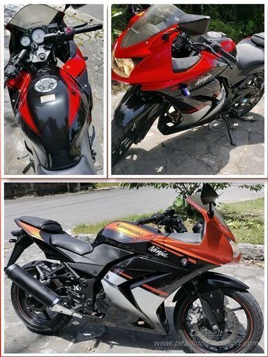 ニンジャ250R