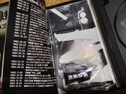 横浜銀蠅　ぶっちぎりコレクション　DVD