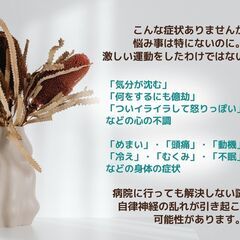 今回のみ1回目無料です★NEW★オンライン講座①自律神経と睡眠　...