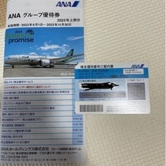 ANA航空券　半額券