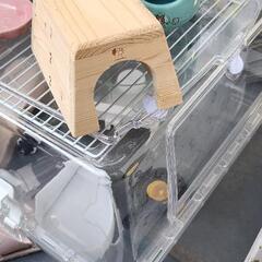 ハムスター用品