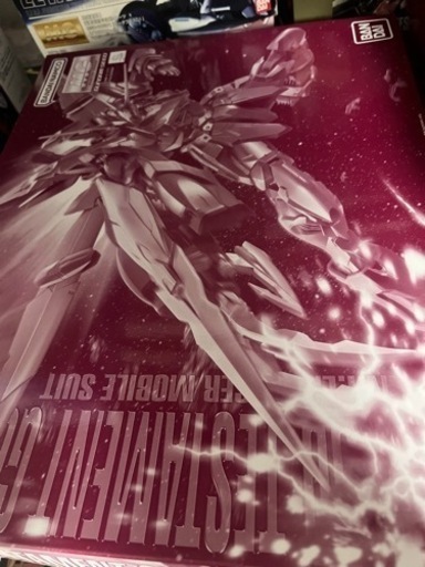 ガンプラ　MG テスタメント
