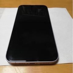 【美品★箱・充電ケーブルあり】iPhone 14 Plus パー...