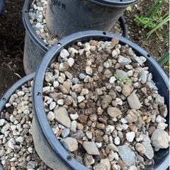 庭砂利を鉢ごと差しあげます。路盤材や鉢底石などに。