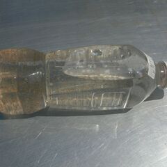 （その２）オオミジンコ   ペットボトル一本５００円メダカ 金魚の餌