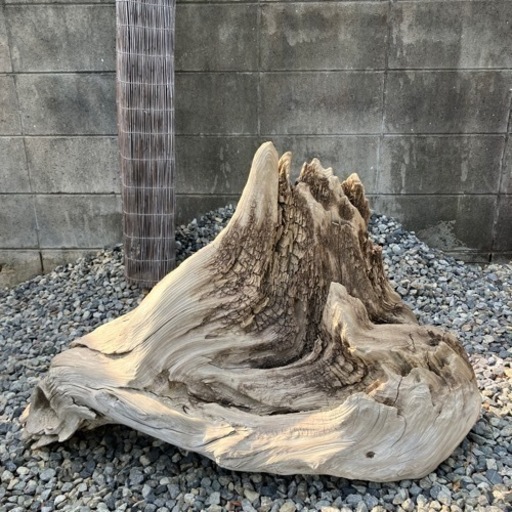 流木 (氷山）\n