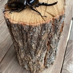 ヘラクレスヘラクレス163ミリ