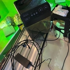 モンスンソロマルチ