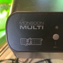 モンスンソロマルチ