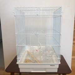 新品未使用　鳥かご(ケージ)   セキセイインコ　　