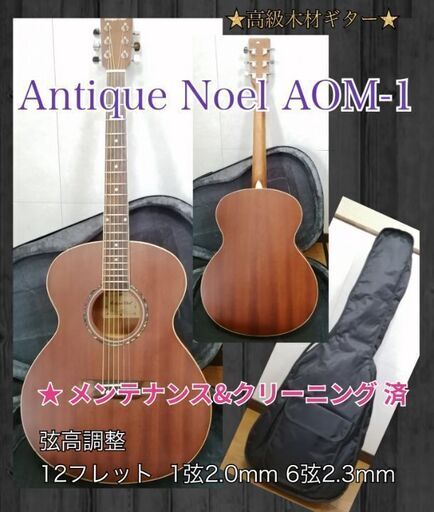 弦楽器、ギター Antique Noel AOM-1
