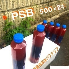 🅿️Ｓ🅱️（ご指示品　）NO.1014メダカ飼育最強液体／500...