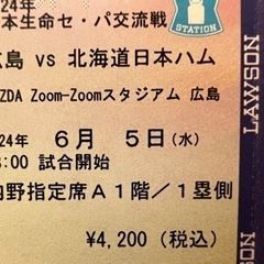 【ネット決済・配送可】カープチケット2枚　6/5日ハム戰