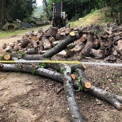 桜！！丸太！原木、桜チップ！