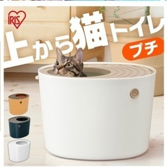 【4月末まで】猫　トイレ用品
