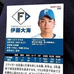 激レアプロ野球チップスカード誤表記