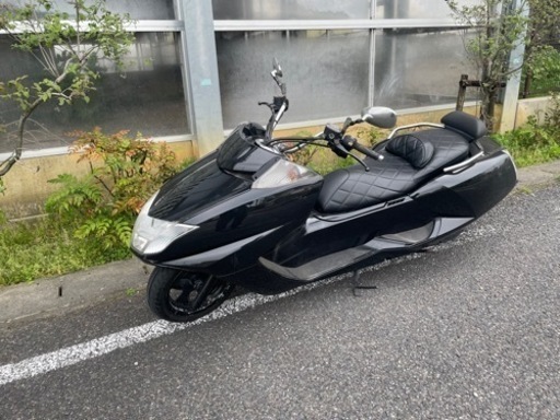 マグザム250