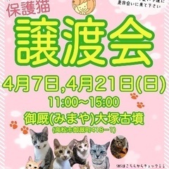 4/21(日)面会可 マイペース黒猫★ウミくん★オス８ヶ月 - 猫