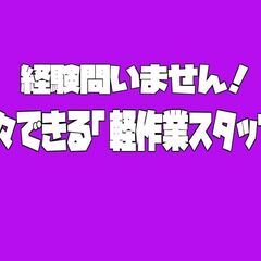 「完成品の梱包／箱詰め」経験不問・日払い対応〈恵庭市〉