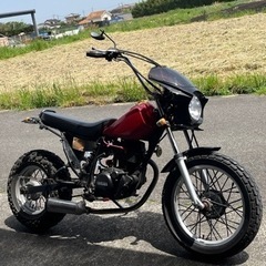 鹿児島県のTW200の中古が安い！激安で譲ります・無料であげます 