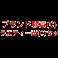 No.823　極ウマ枝豆入り‼️⑭ブランド夏野菜の苗(C)【バラ...