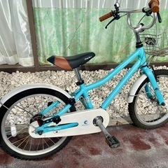 子供用自転車18インチ軽量アルミフレーム　コーダーブルームass...