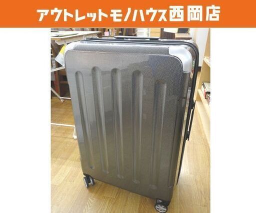 キャリーケース 約90L 高さ74×幅50×奥行29㎝ TASロック 鍵付き キャリーバッグ 4輪 Lサイズ 旅行カバン 西岡店