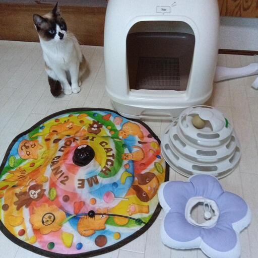 猫トイレ＆おもちゃ♡