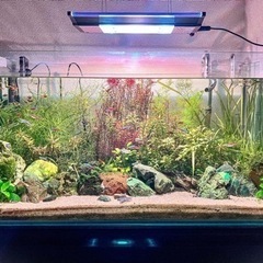 取引限定　水槽セット90cmx45x45 エーハイムフィルター2080 クーラー 取引限定 水槽セット90cmx45x45 エーハイムフィルター2080 クーラー