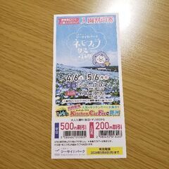 ネモフィラ祭り　大阪まいしま　割引券　1枚　200円